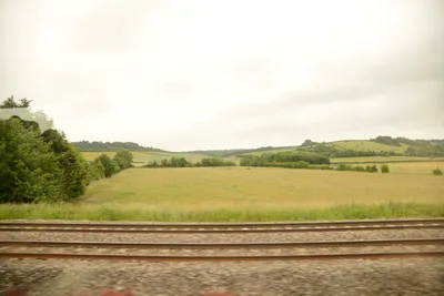 DSC_2522 (Large).JPG